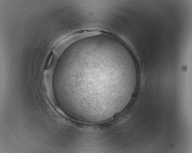 X0000116340673200912151329