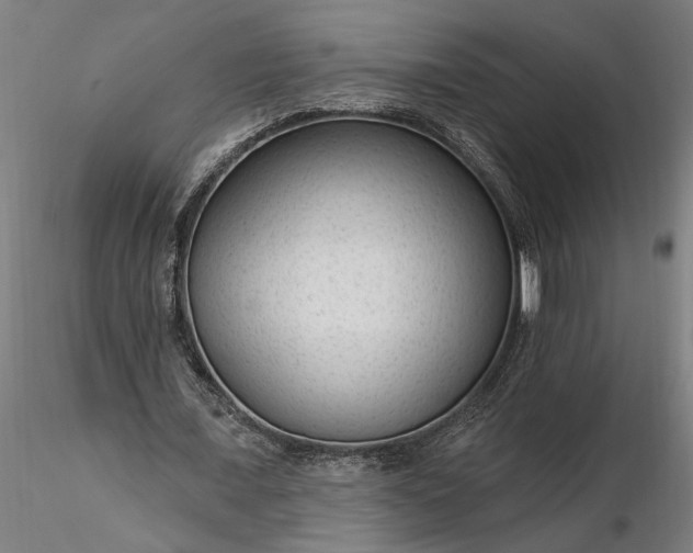 X0000116340675200912151329