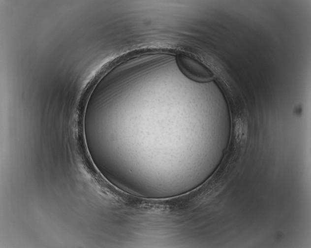 X0000116340676200912151329