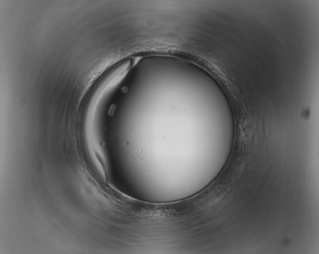 X0000116340679200912151329