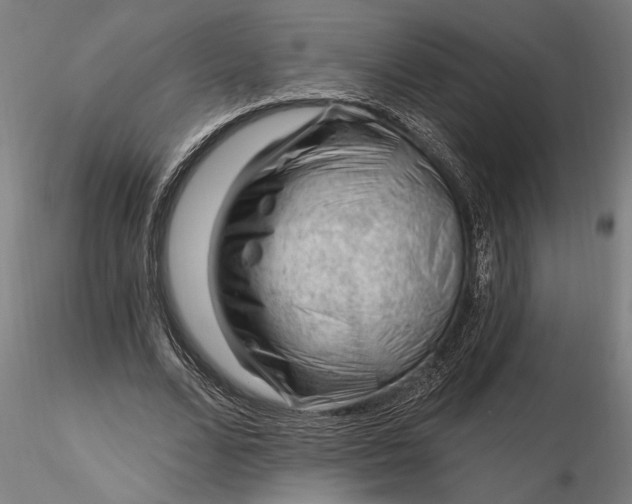 X0000116340680200912151329