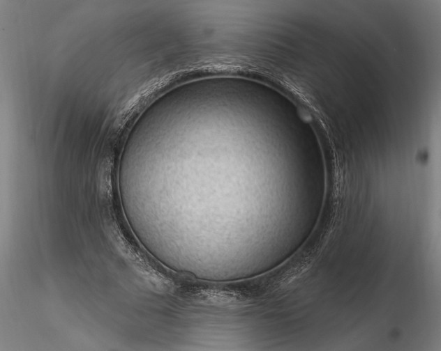 X0000116340681200912151329