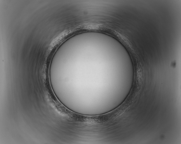 X0000116340682200912151329