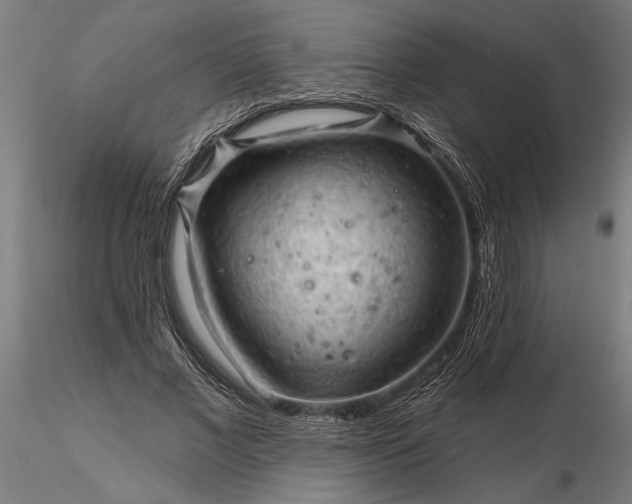 X0000116340685200912151329