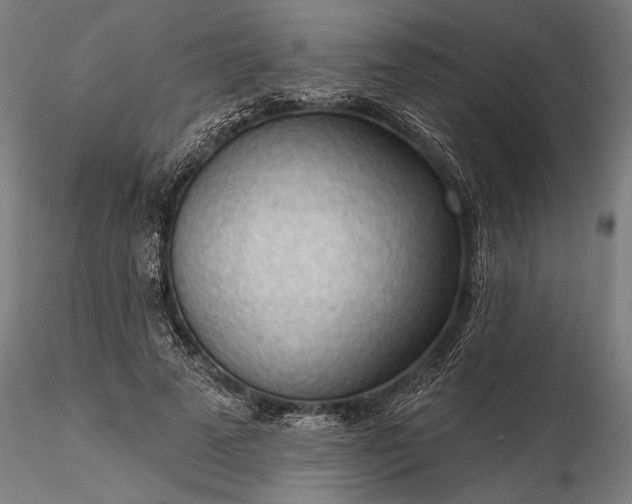 X0000116340689200912151329