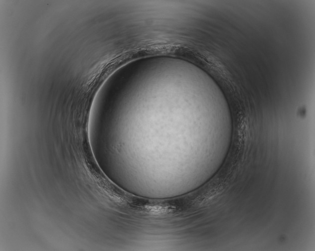 X0000116340693200912151328