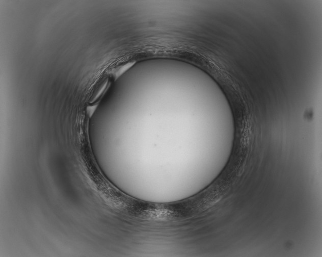 X0000116340695200912151328