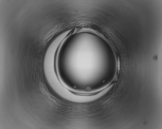 X0000116340696200912151328