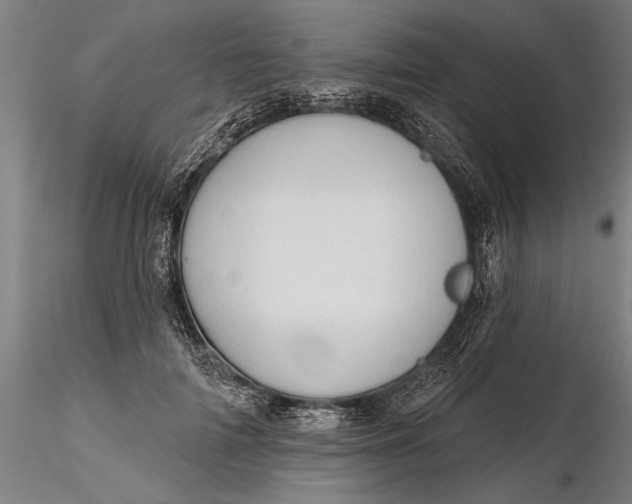 X0000116340698200912151328