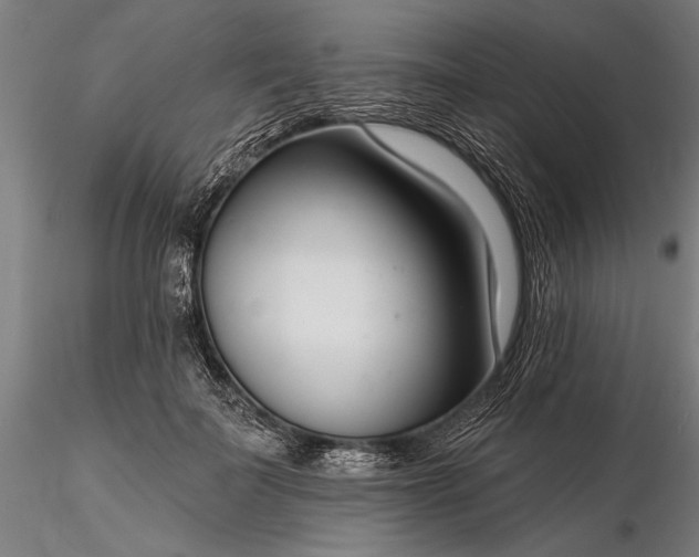 X0000116340699200912151328