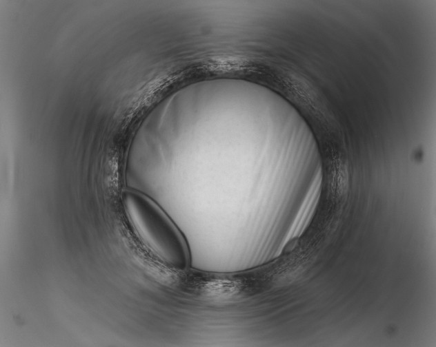 X0000116340700200912151328