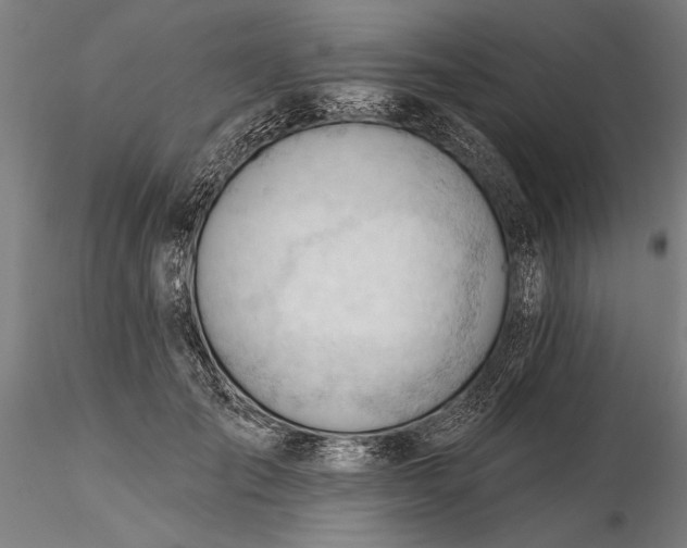 X0000116340701200912151328