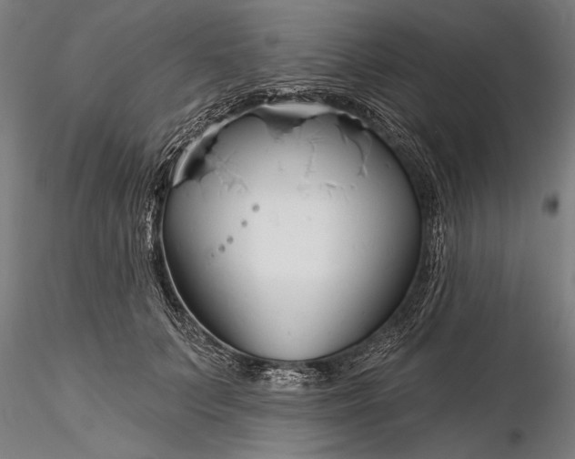 X0000116340703200912151328