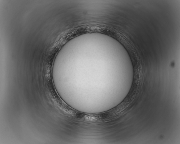 X0000116340706200912151328