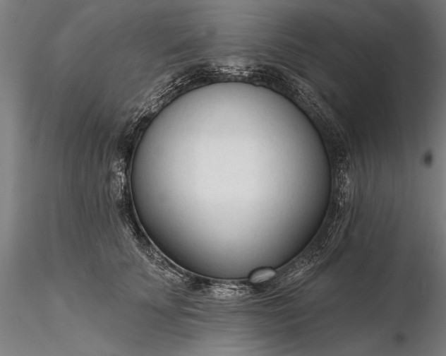 X0000116340707200912151328