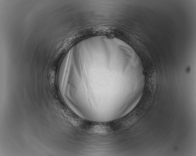 X0000116340708200912151328