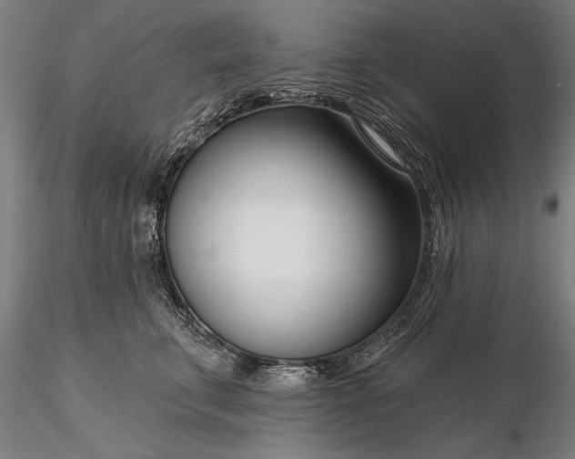 X0000116340711200912151328