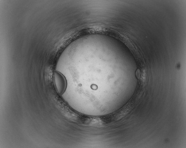 X0000116340715200912151328