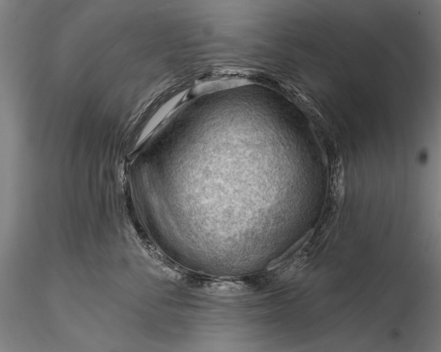 X0000116340716200912151328