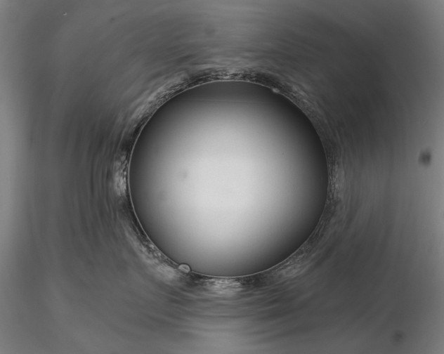 X0000116340719200912151328