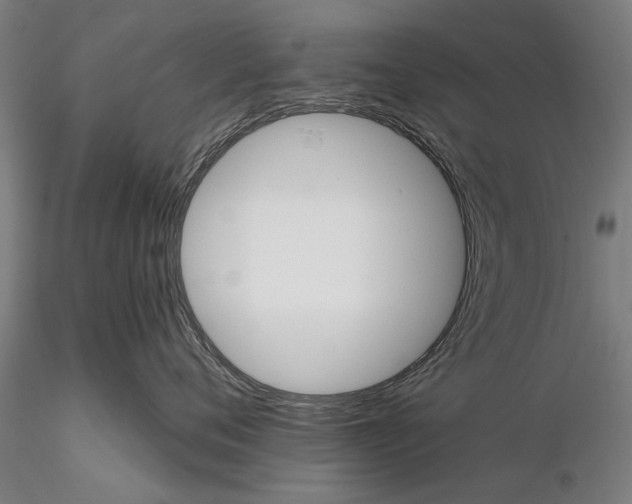 X0000116340720200912151328