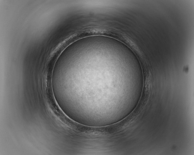 X0000116340722200912151327