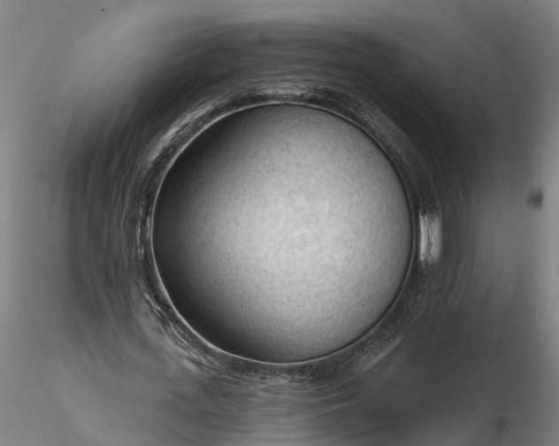 X0000116340723200912151327