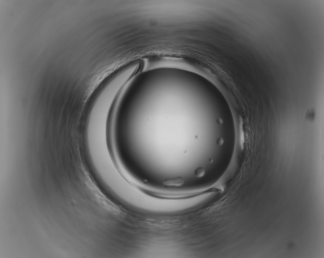 X0000116340725200912151327