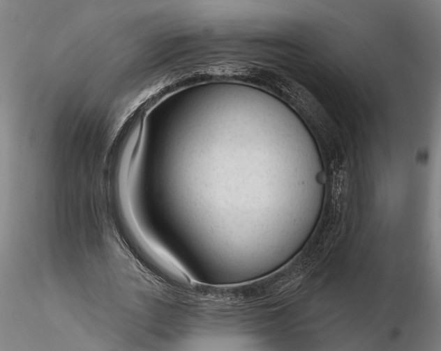 X0000116340727200912151327