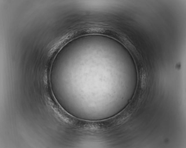 X0000116340729200912151327