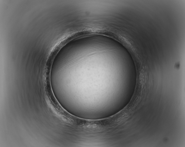 X0000116340730200912151327