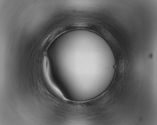 X0000116340731200912151327