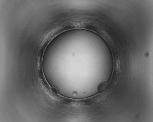 X0000116340733200912151327