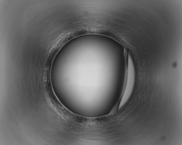 X0000116340738200912151327