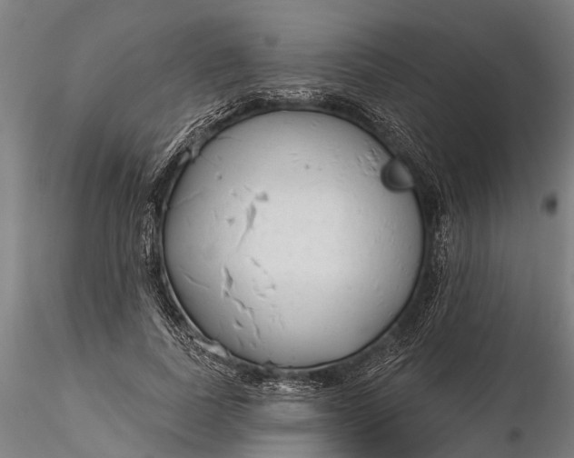 X0000116340739200912151328