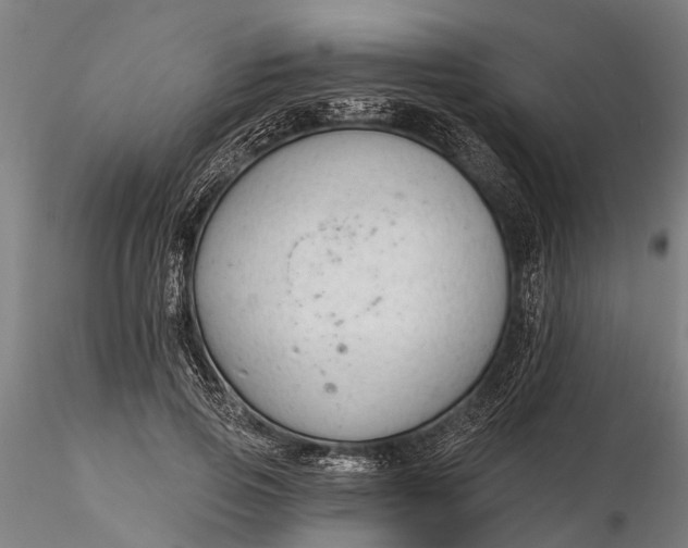 X0000116340741200912151328