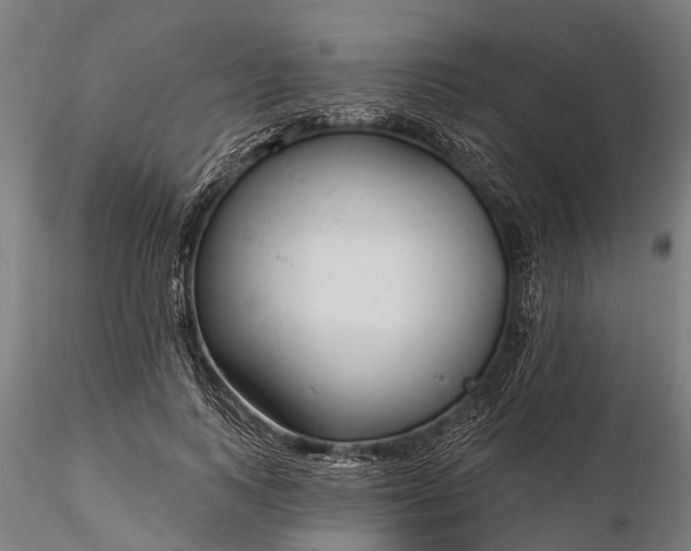 X0000116340743200912151328