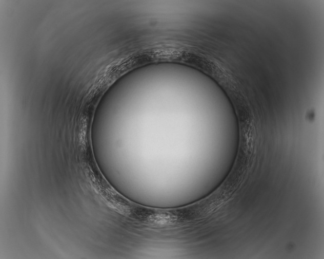 X0000116340745200912151328