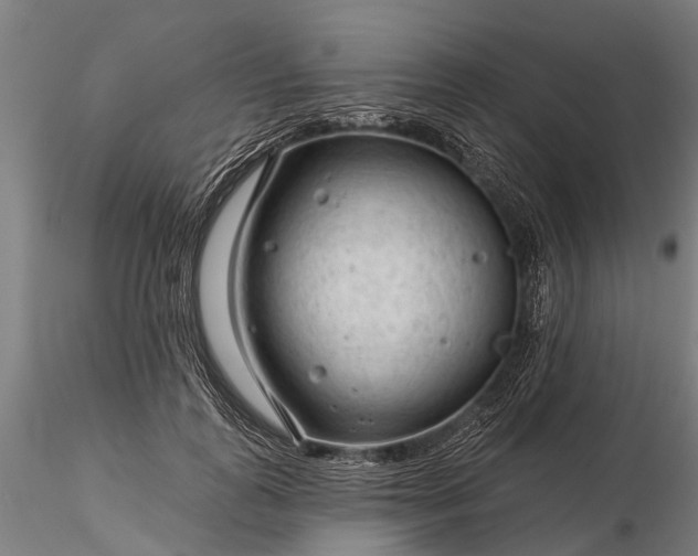 X0000116340747200912151328