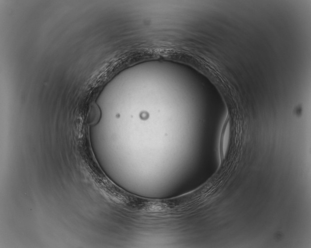 X0000116340750200912151328