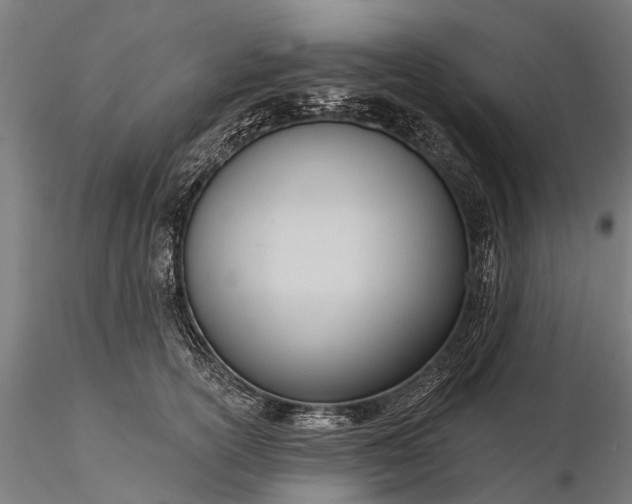 X0000116340754200912151328