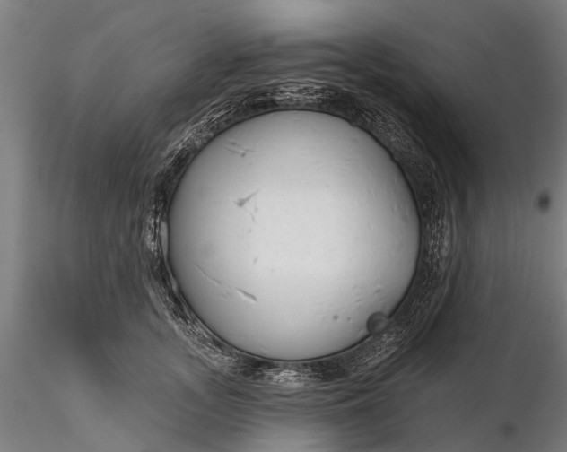 X0000116340755200912151328