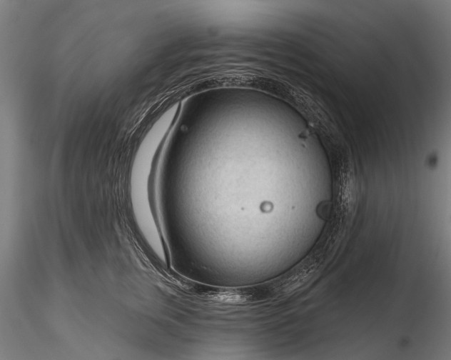 X0000116340759200912151328