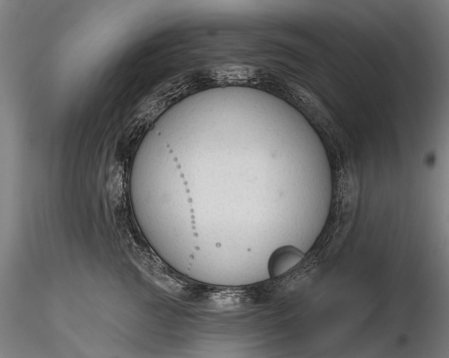 X0000116340761200912151328