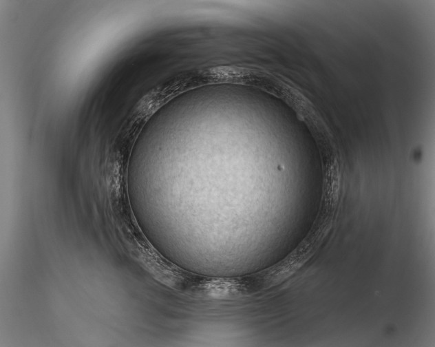 X0000116340762200912151328