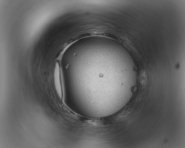 X0000116340763200912151328