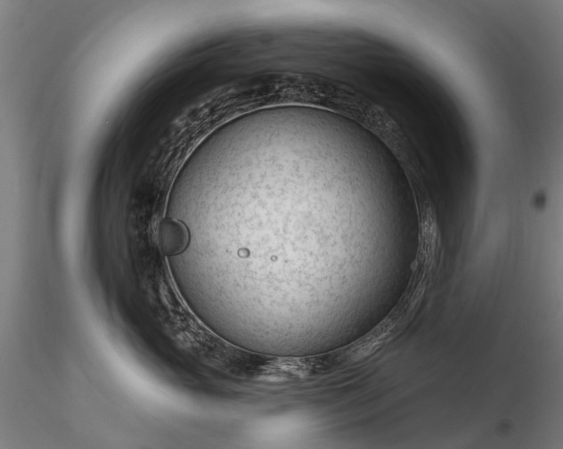 X0000116340765200912151328