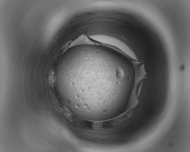 X0000116340766200912151328