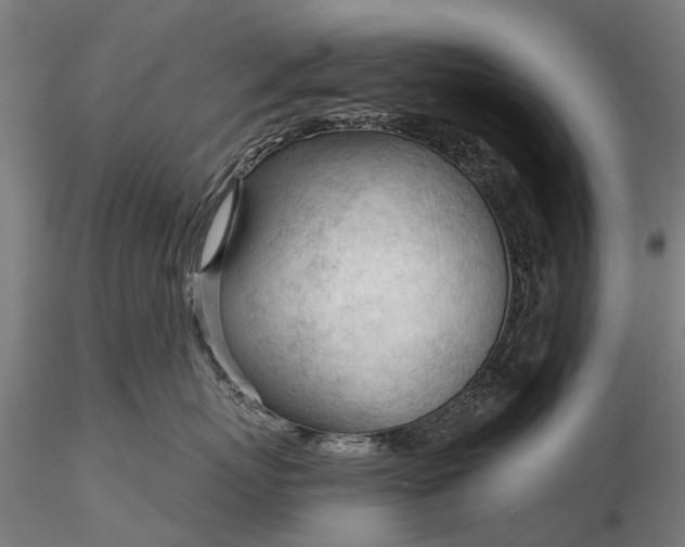 X0000116340767200912151328