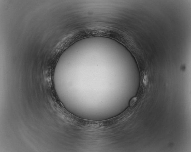 X0000116340771200912151327